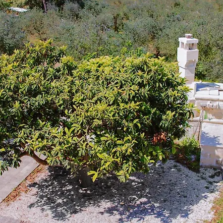 Agriturismo Biologico Piccapane Bed & Breakfast